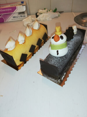 Bûche mousse abricot 4 personnes