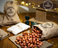 Mini-grenailles de noël lavées