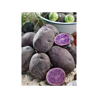 Pommes de terre ulysse