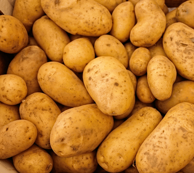Pommes de terre agria