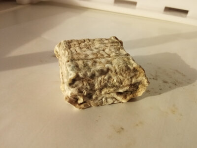 Coussinet chèvre extra sec- affiné 4 à 6 mois
