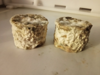 Touret chèvre extra sec - affiné 4 à 6 mois