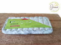 La téoulette cendrée