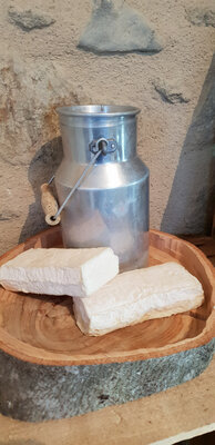La brique du vignal