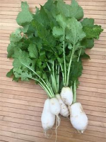 Navet vertu des marteaux 1 kg