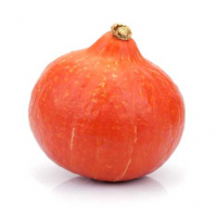 Potimarron grande taille bio (la pièce)