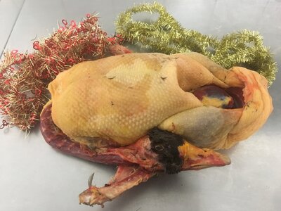Oie fermière pour 6 / 8 personnes