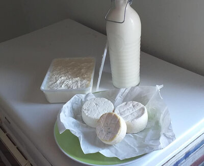 Lait de vache