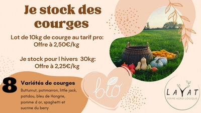 Lot de courge 10 kg