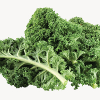 Chou kale