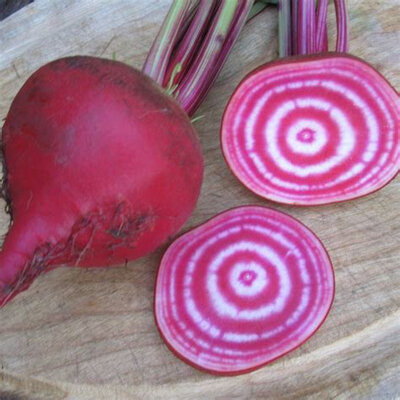 Betterave chioggia 1 kg