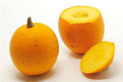 Courge pomme d'or