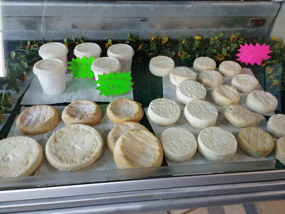 Grand fromage au lait de vache
