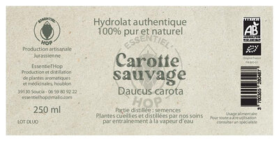 Hydrolat de carotte sauvage