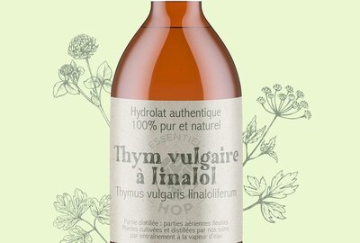 Hydrolat de thym linalol