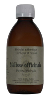 Hydrolat de mélisse officinale