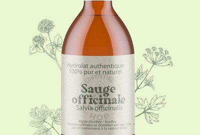 Hydrolat de sauge officinale