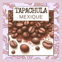 Café 'tapachula' mexique 250g, filtre