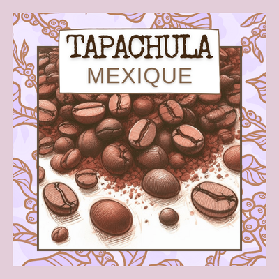Café 'tapachula' mexique 250g, filtre