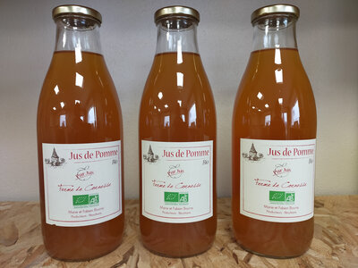 Jus de pomme bio 1l acidulé