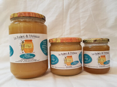 Miel de printemps