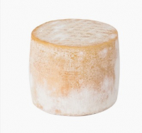 Brebis tomette d'echourgnac