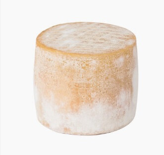 Brebis tomette d'echourgnac