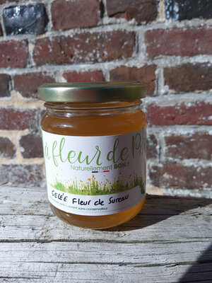 Gelee fleur de sureau