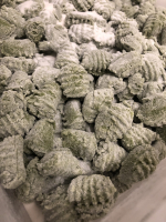 Gnocchis traditionnels aux épinards