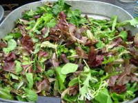 Mesclun