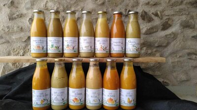 Lot 16 soupes & 4 gaspachos