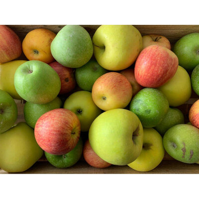 Pomme mélange