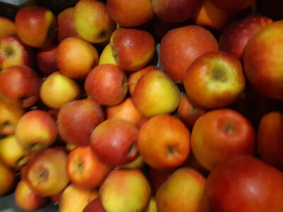 Pomme dalinette