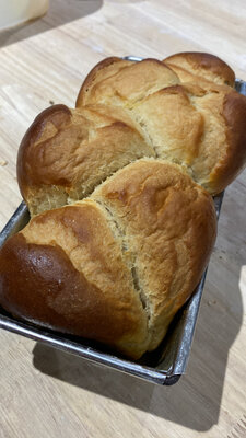Brioche h