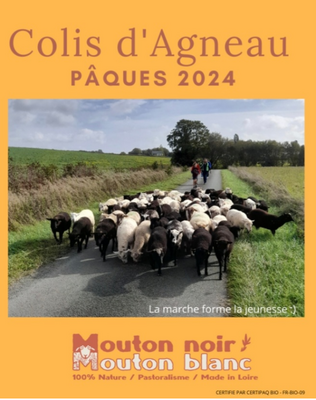 Colis d'agneau (spécial pâques)
