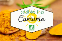Curcuma bio