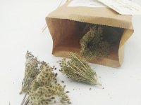 Tisane du barde - carotte sauvage