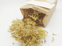 Tisane du barde - sureau noir