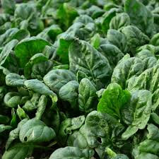 Epinard-blette 500g