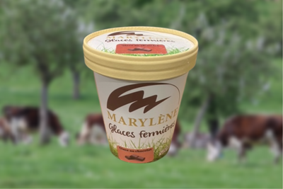 Glace chocolat noir intense