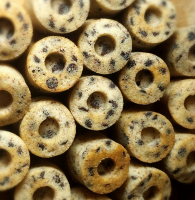 Financier aux pépites de chocolat