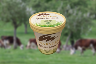 Crème glacée menthe pépites de chocolat