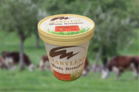 Sorbet pomme  'plein fruit'