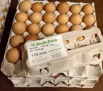 Boîte de 10 œufs frais