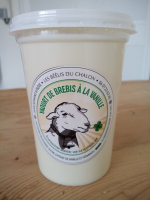 Yaourt de bebis à la vanille