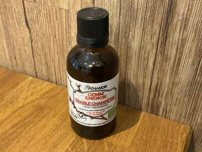 Gemmothérapie érable champêtre