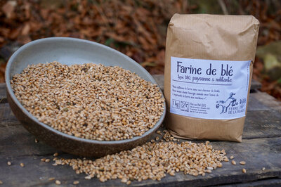 Farine de blé-5kg