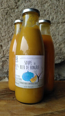 Soupe de courge bleu de hongrie