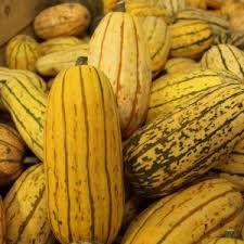 Courges sweet potato