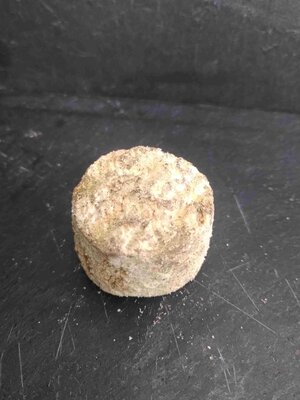 Affiné : crottin de chèvre